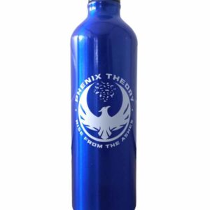 Gourde métal PHENIX THEORY Bleue